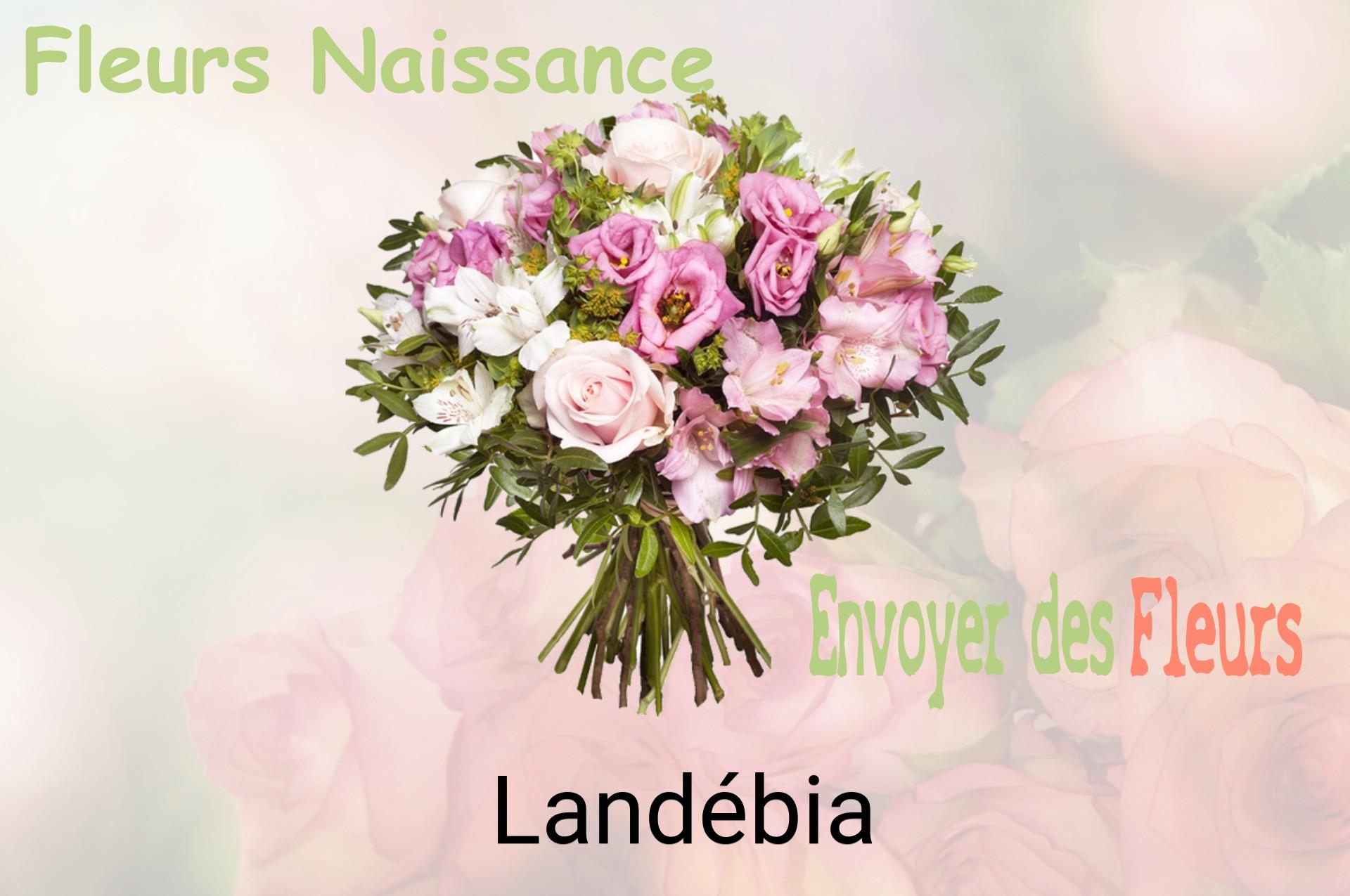 Bouquet de fleurs de naissance livré à Landébia